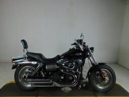 2010 Harley-Davidson® FXDF Dyna® Fat Bob®
